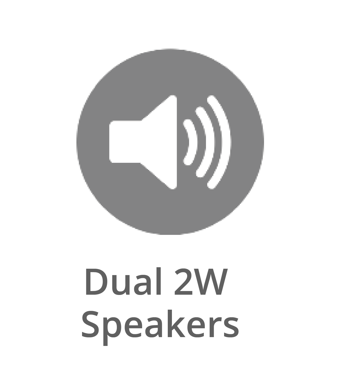 Dual Speakers