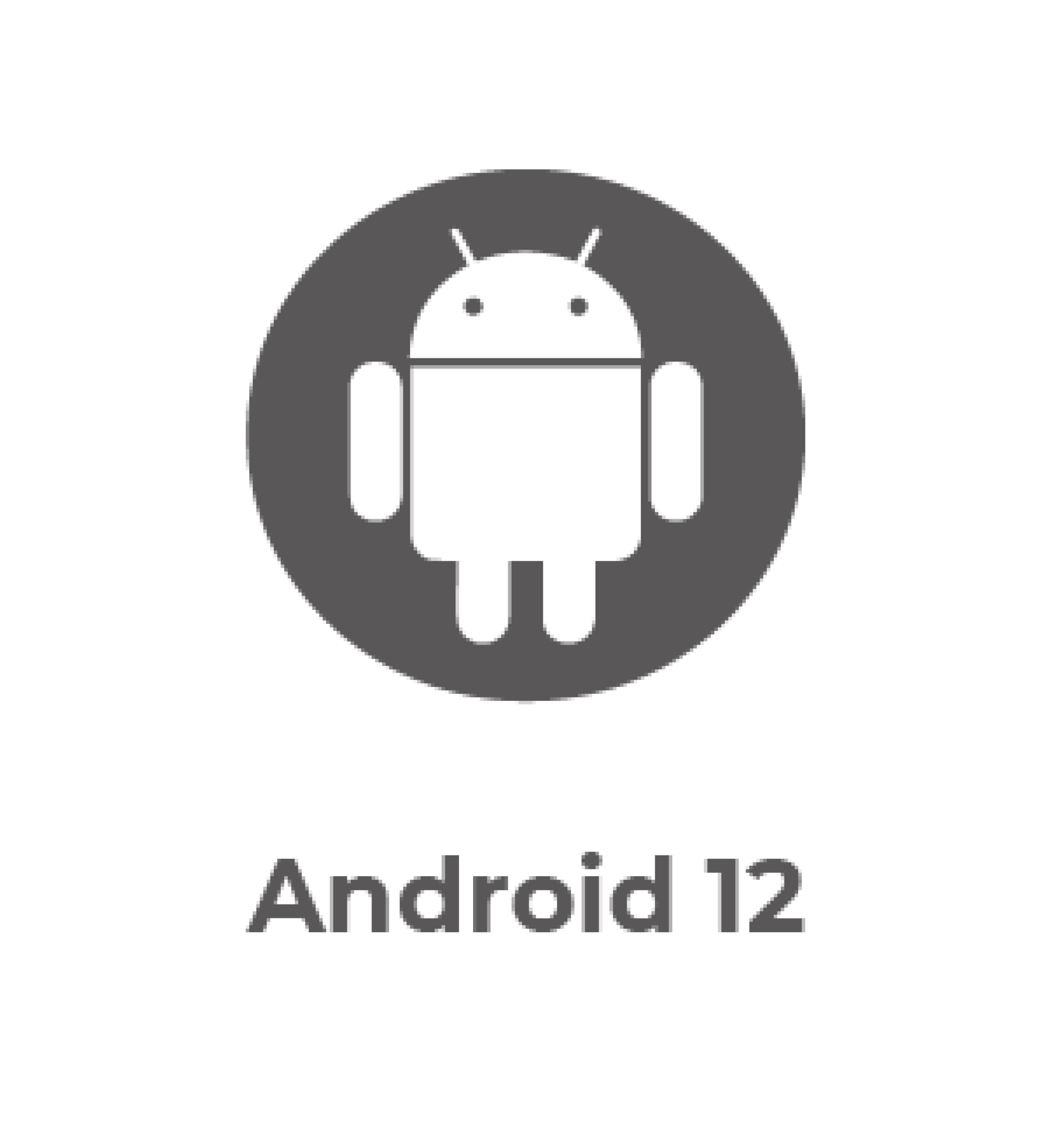TD-1050 Pro - Android 12 Icon